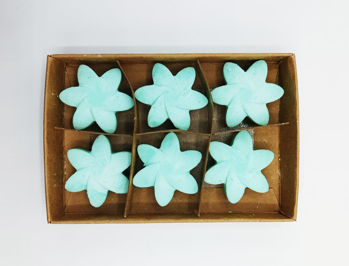 Fondants naturels Pack de 6 Jardin Secret