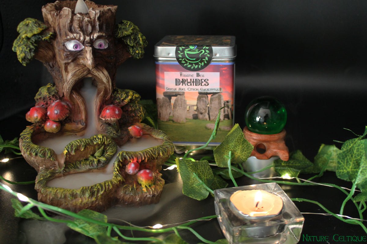 Tisane des Druides